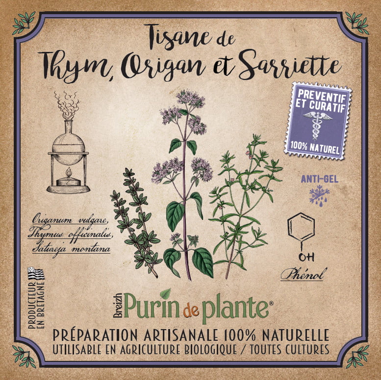 TISANE ORIGAN/THYM/SARRIETTE 2,3L – Breizh Purin de plante