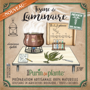 Tisane de Laminaire